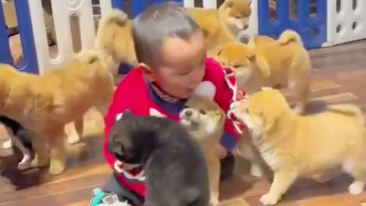 Babies funny video😂