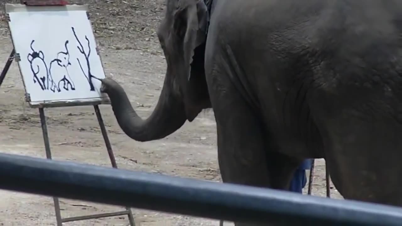 Amazing The Painting Elephant - Elephant become a painter. #cuteanimals