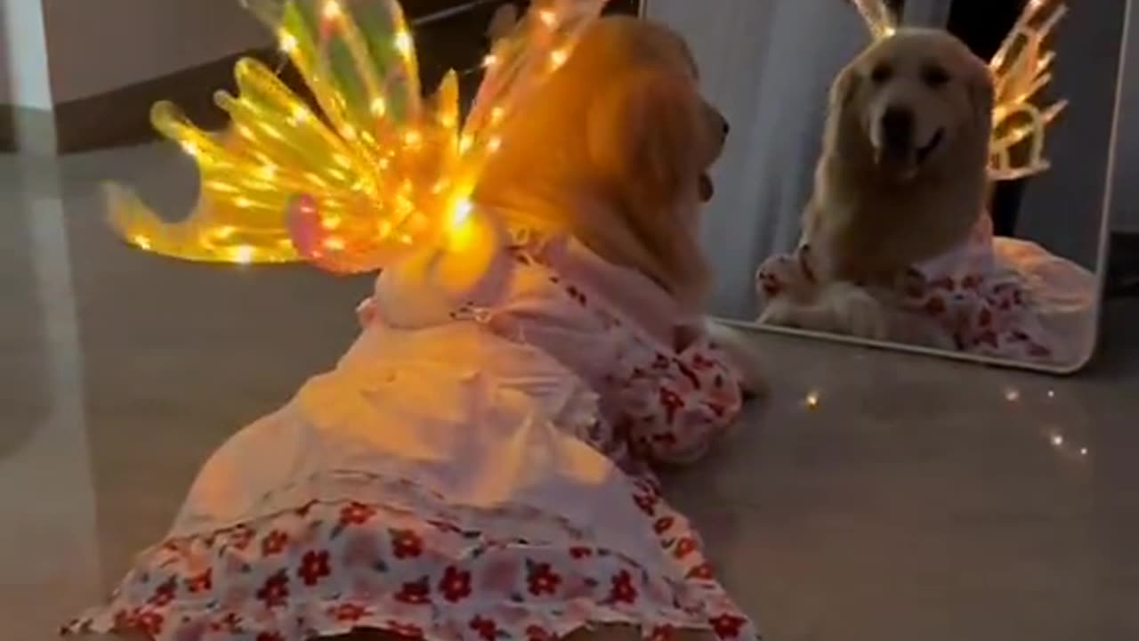 How sweet this cat!