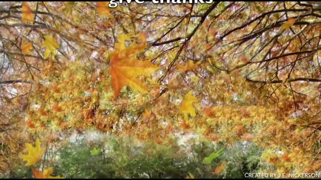 Remembering to be Thankful