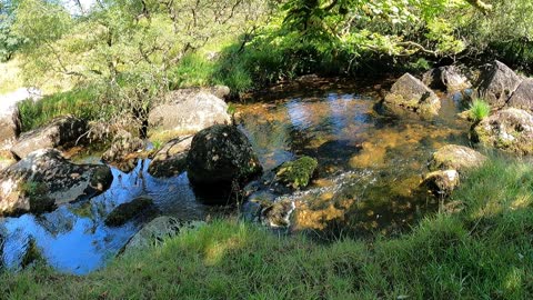 Ambient sound of a river.
