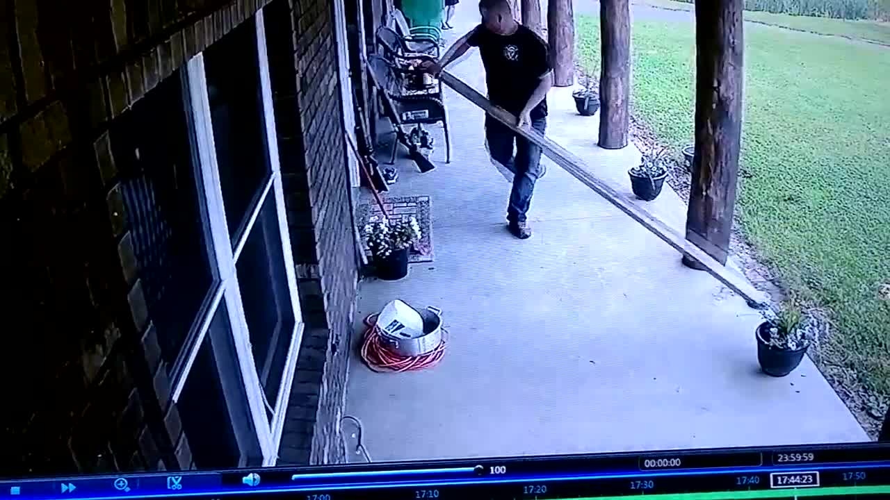 SNAKE ON HOUSE BRICK