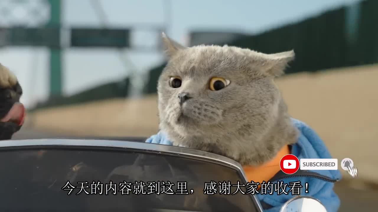 若非是被鏡頭記錄下來,你永遠不會相信動物們的機智竟會恐怖如斯!