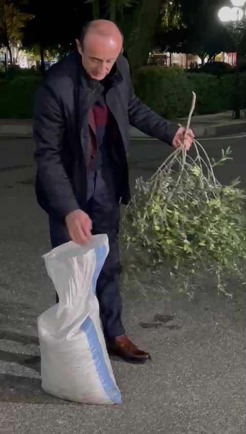 Dash Sula shkon në Kuvend me thesin te mbushur plot dhe degen e ullirit