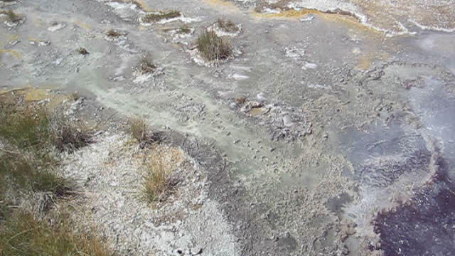 Amazing boiling puddles