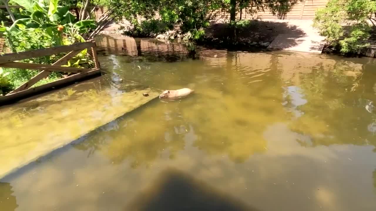 Florida - June 2022