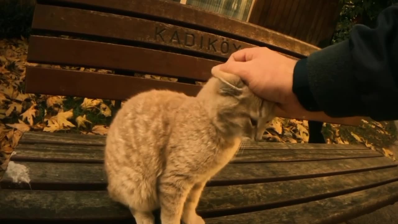 🥰