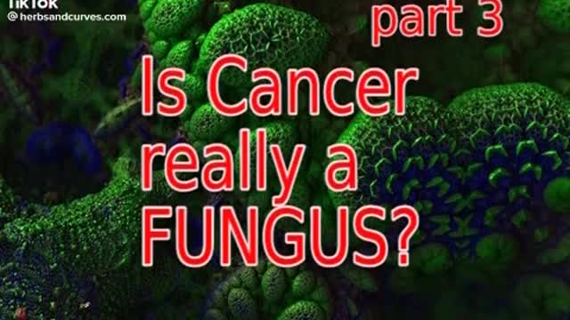 Part 3 is Cancer a Fungus series the truths