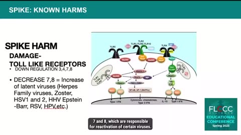 🚨Dr Ryan Cole: What can the spike protein do in the human body? 👀💉☠️