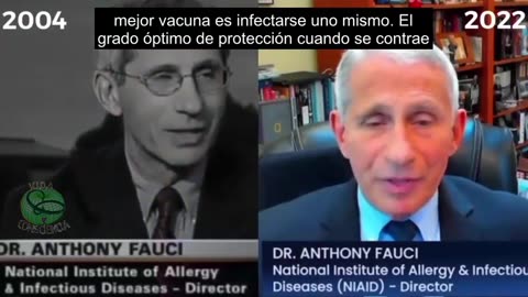 Las contradicciones de Fauci