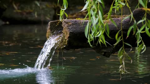 Fountain