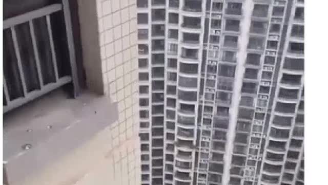 Chicken takes leap of faith off of skyscraper