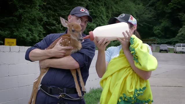 American Humane West Virginia Rescue Mission July 2016