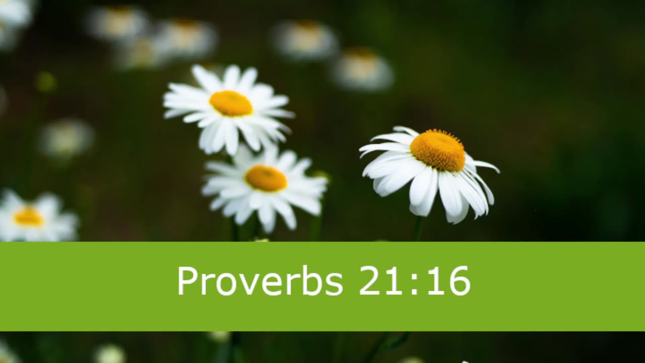 1 Minute -- Proverbs 21 Devotional -- March 21, 2023