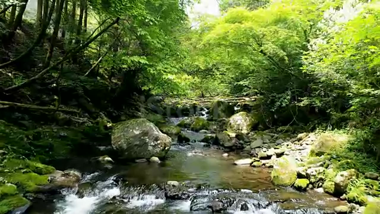 Landscape of clear stream stock video...