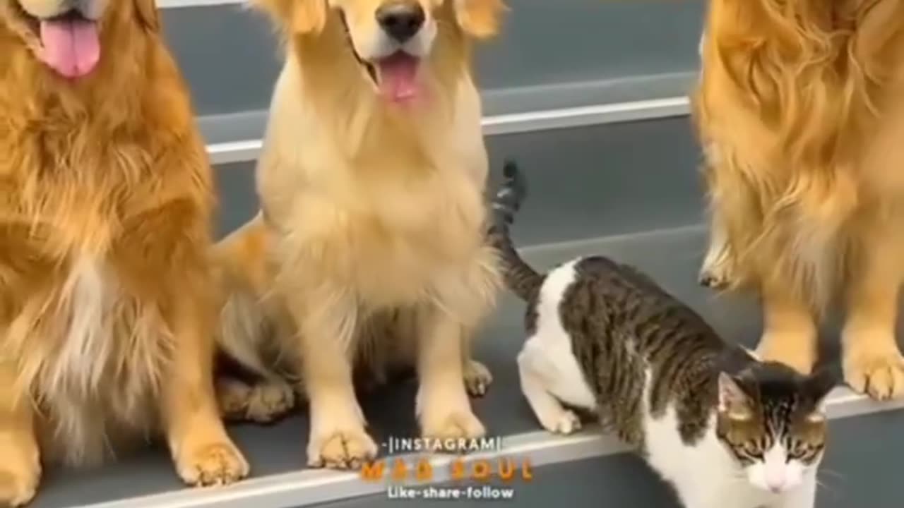 Best Family photo
