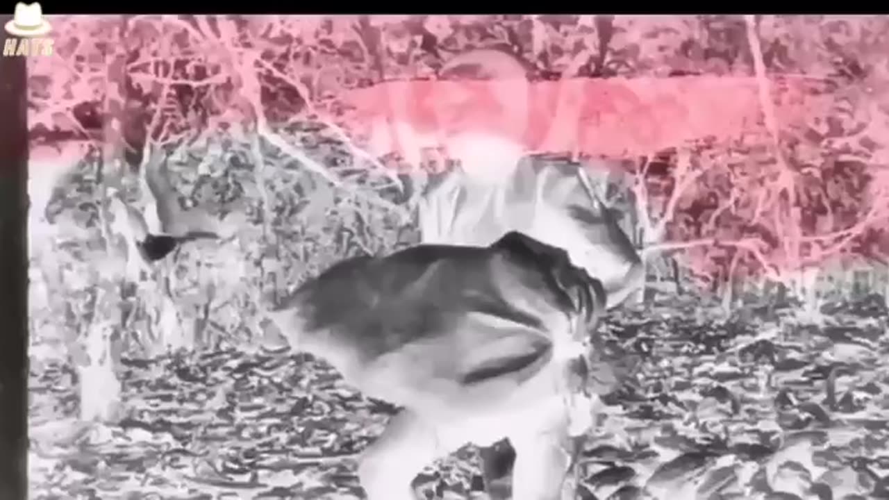 Nestles - Products Are NOT Good For You