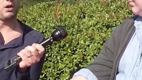 looks-like-they-is-going-to-jail…-shorts