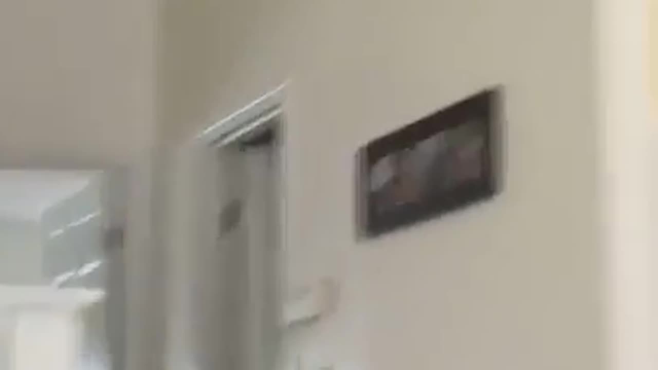 TRY NOT TO LAUGH 😆 Best Funny Videos Compilation 😂😁😆 Memes