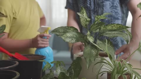 This Mouse Will Be Killed By a Plant