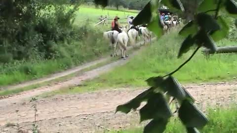 Impressionen - Unterwegs - MAEDCHENRITT