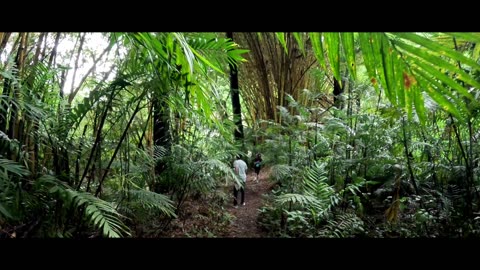 Hiking Trail in San Jose Costa Rica (edited)