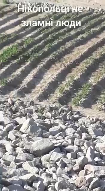 Russians Plant Endless Potatoes in Occupied Zaporizhzhia