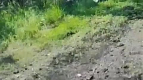 Russians Litter the Roadside