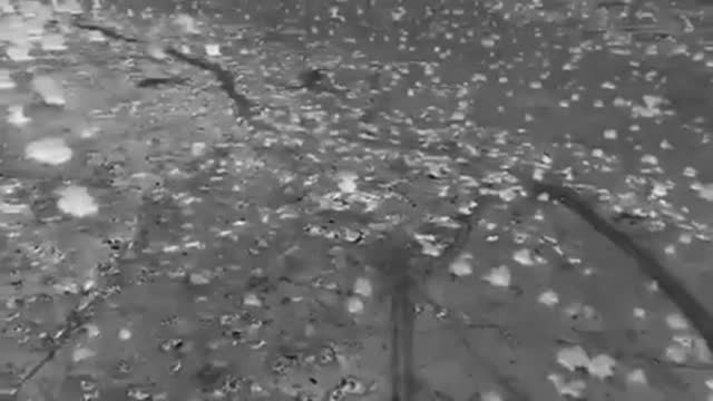 57,000 dead cows in Rajasthan India