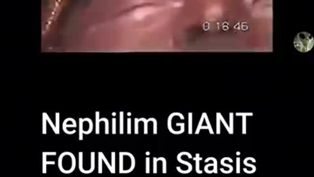 Nephilim Giants?! Gilgamesh