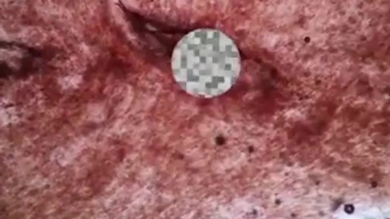 Microorganisms