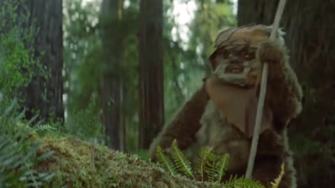 Star Wars - Rey’s Training