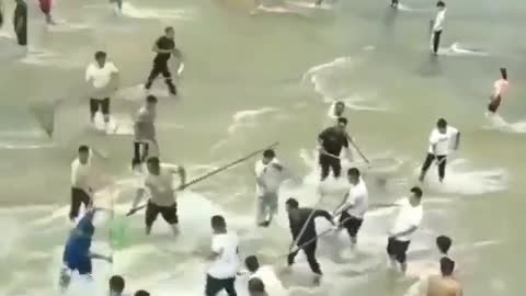 This is a beautiful and charming water-dwelling species