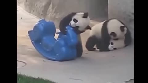 Very funny animals,Panda animated toy!