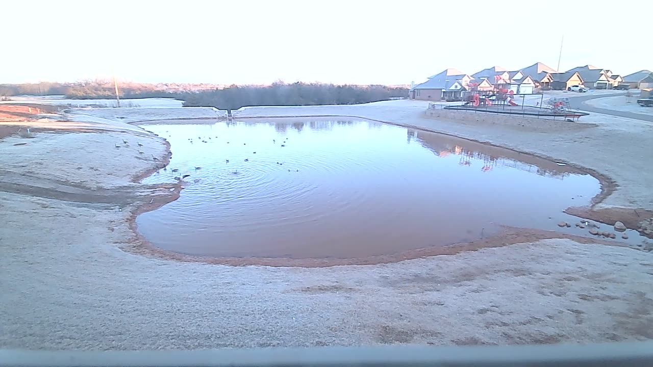 The Pond