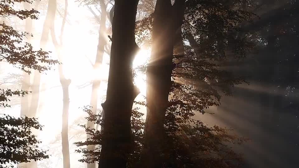 As long as you live longer than your competitors, you win