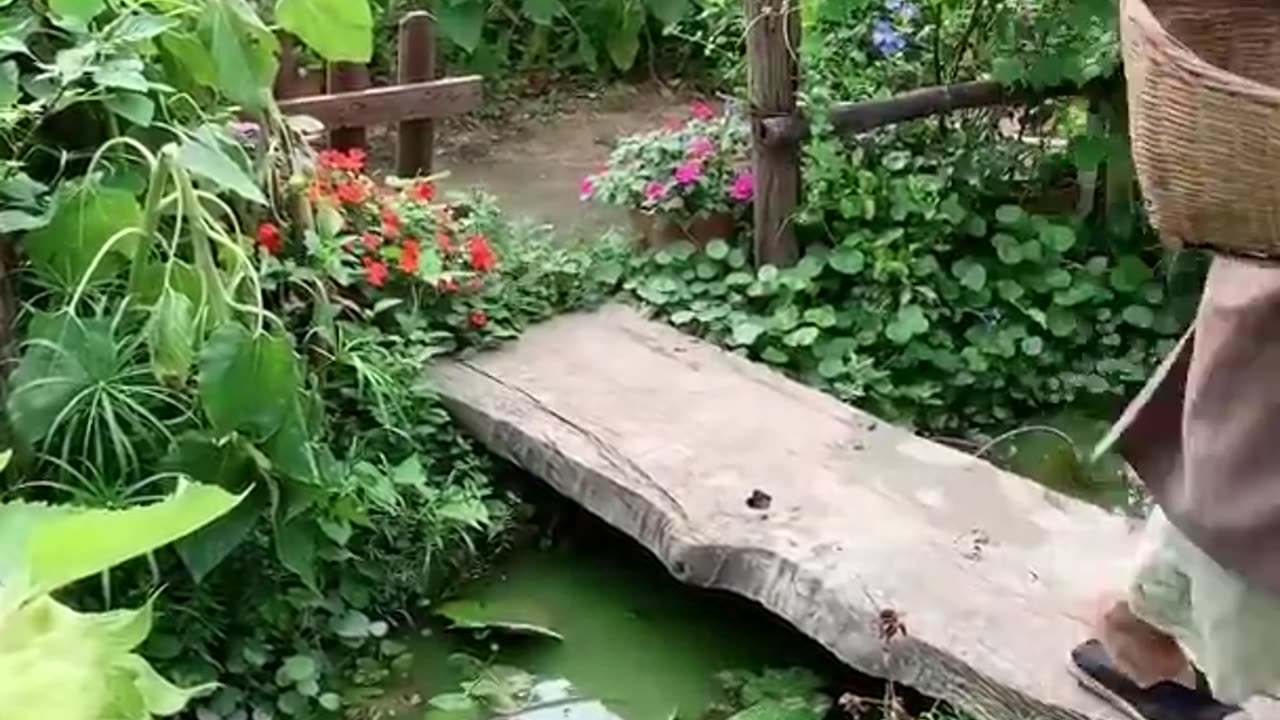 Enjoy beautiful nature with rural life
