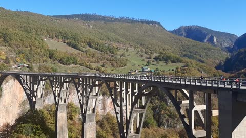 Đurđevića Tara Bridge