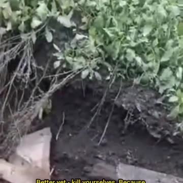 Ukraine platoon down to 5 men in Bakhmut