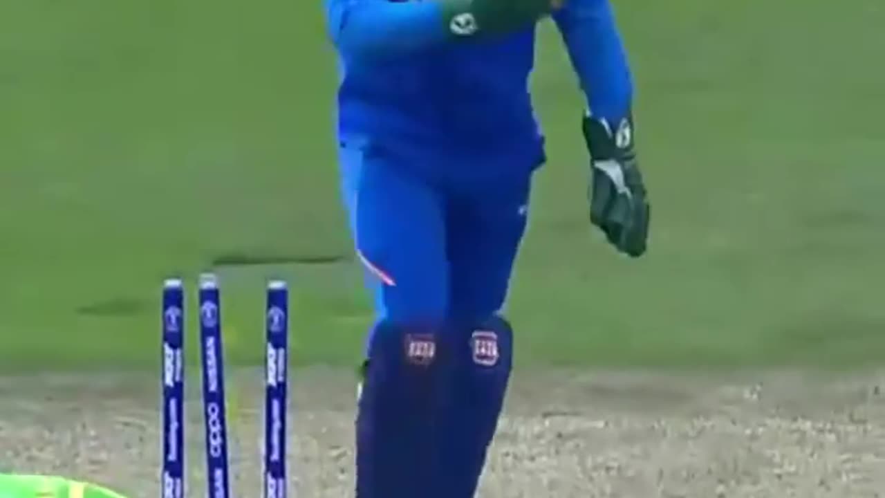 Dhoni stamping status