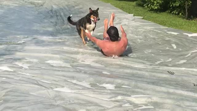 Slip and slide with the dog