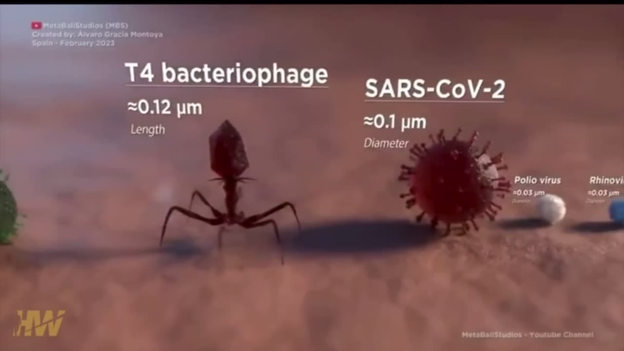 Comparison of Particle Size - From Human Hair to SARS-COV-2