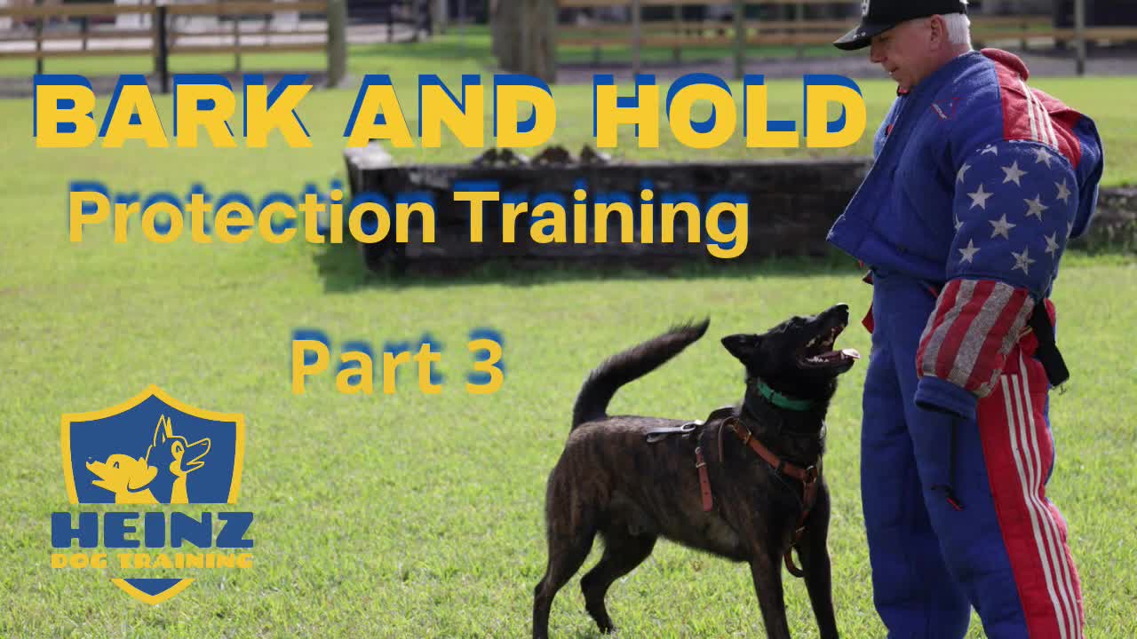 Teach Your Dog to Bark and Hold -Protection Must Have