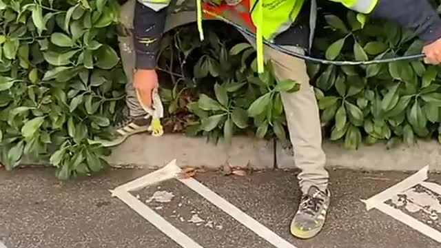 Satisfying Videos of Workers Doing Their Job Perfectly #2