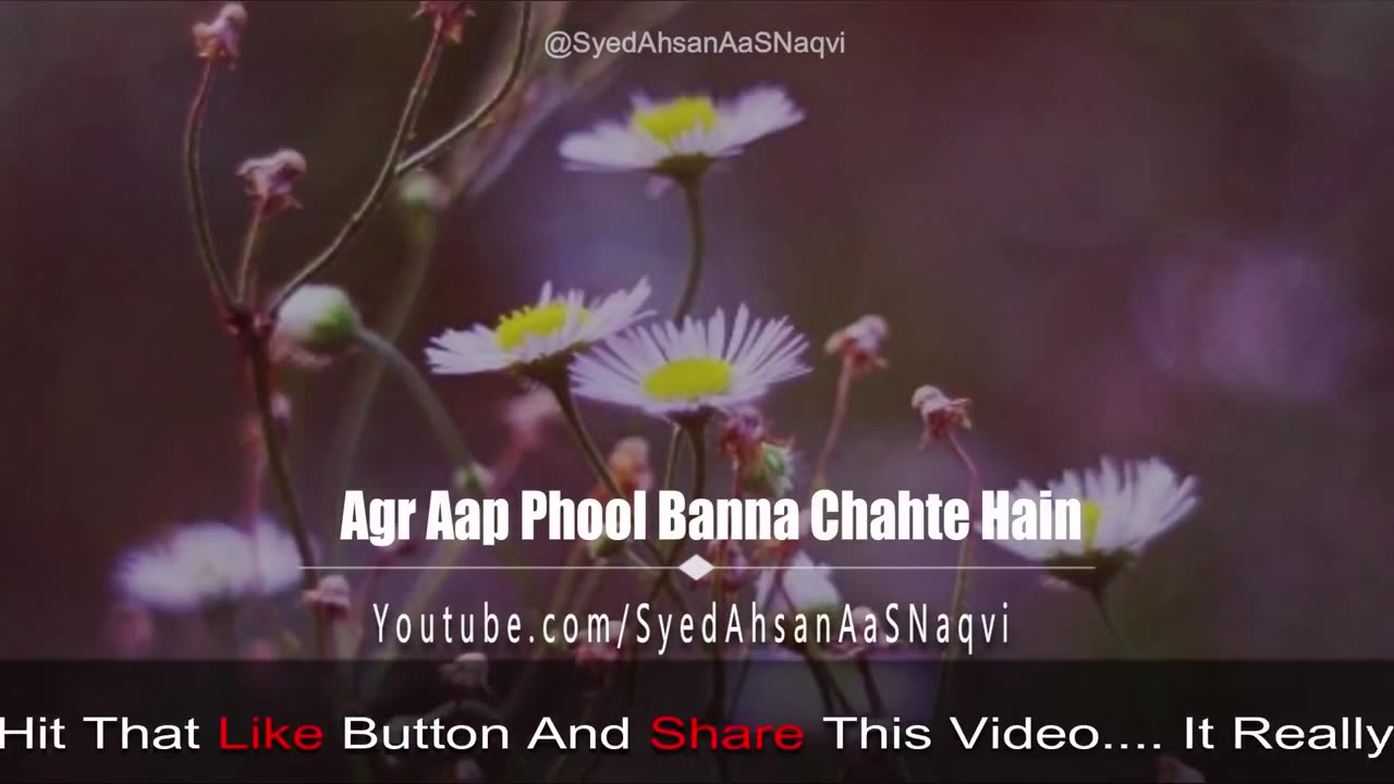 Agr Aap Phool Banna Chahte Hain Rose Khobsorati Syed Ahsan AaS