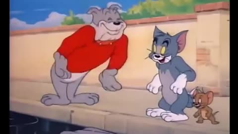 tom & jerry funny cartoons