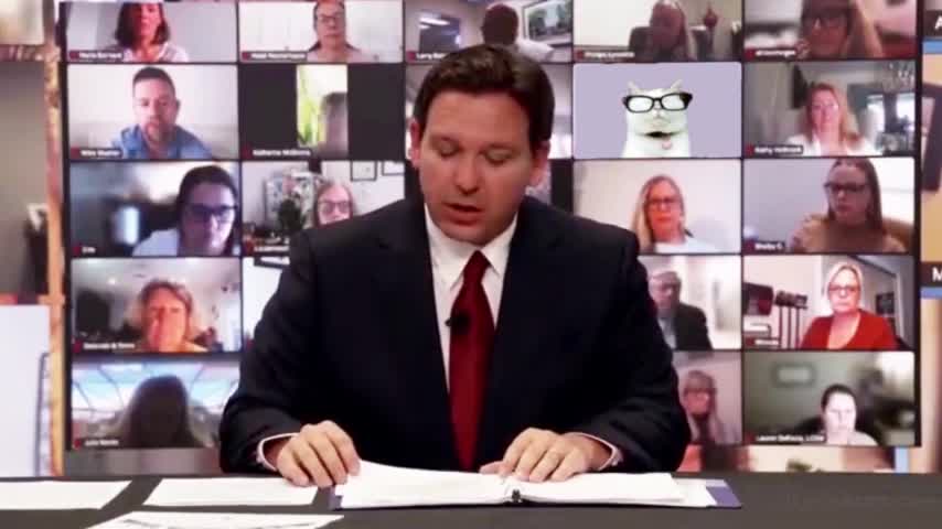 That little Catturd is EVERYWHERE!!!😂😂😂