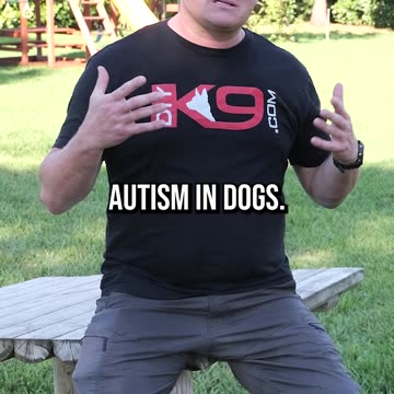 What Will Happen if Your Dogs Develop Littermate Syndrome.