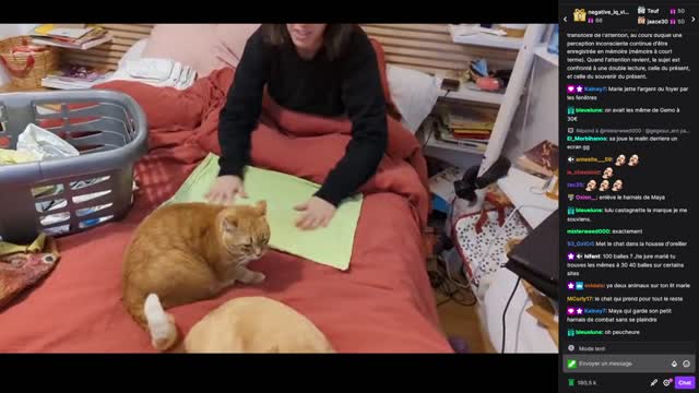 2022-11-10 (3bis.1) - rangement Maya déchargement (version avec chat)