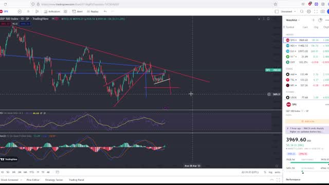 Stock Market Rally Or A Bull Trap?!?!?